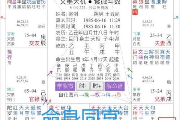 命宫戌身宫寅的命运解析:如何运用命理提升人生潜能 命宫戌身宫寅的命运解析:如何运用命理提升人生潜能