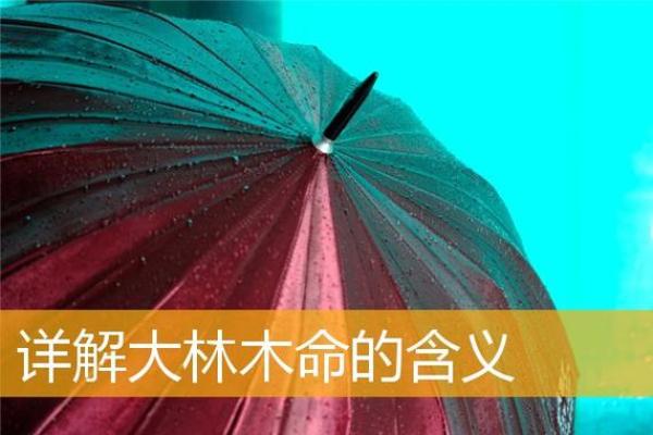 木命人适合居住的方位与环境解析:让生活更加和谐美好! 木命人适合居住的方位与环境解析:让生活更加和谐美好!