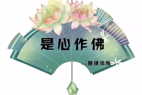没有孩子的命与佛家的命:探寻生命的意义与智慧 没有孩子的命与佛家的命:探寻生命的意义与智慧