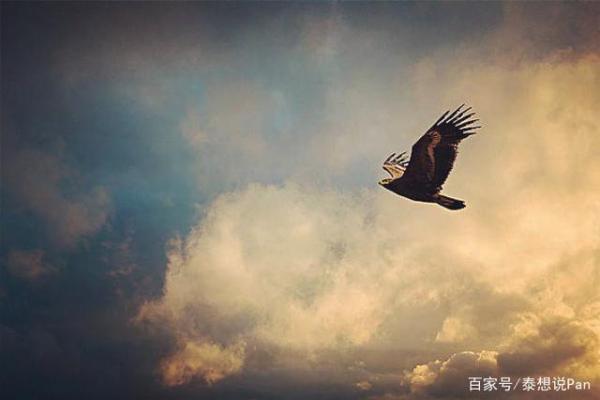 命格强硬的人:你知道他们的独特人生之路吗? 命格强硬的人:你知道他们的独特人生之路吗?