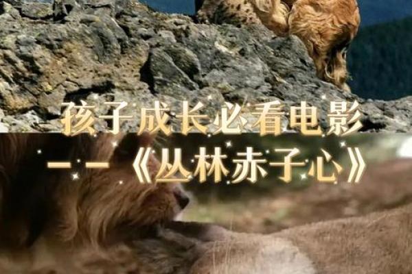 命已逝去,身外之物如何看待?生命的意义与价值重新审视 命已逝去,身外之物如何看待?生命的意义与价值重新审视