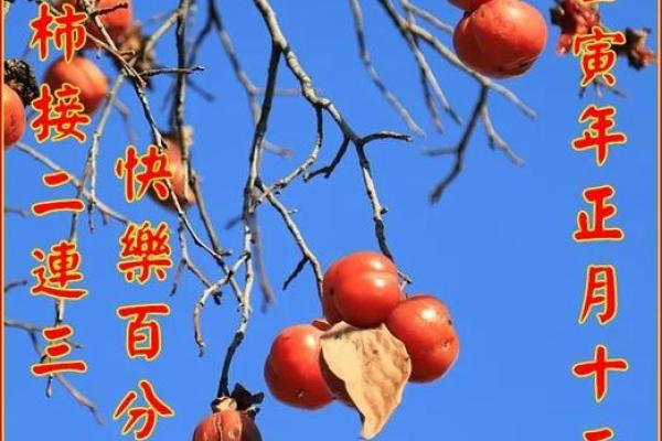 明年农历六月:与虎年命相伴的精彩生活旅程 明年农历六月:与虎年命相伴的精彩生活旅程