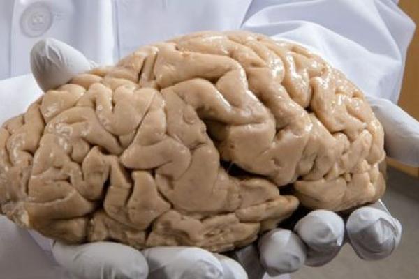 命比黄连苦三分女:揭示疾病背后的心灵挣扎与成长之路 命比黄连苦三分女:揭示疾病背后的心灵挣扎与成长之路