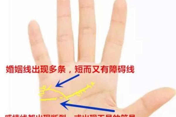 命格中土元素的力量:如何让你在人生的道路上多金多福? 命格中土元素的力量:如何让你在人生的道路上多金多福?