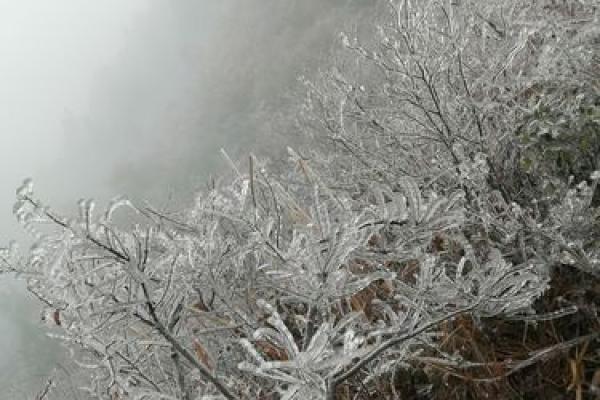 命带王山的深刻寓意与人生启示 命带王山的深刻寓意与人生启示