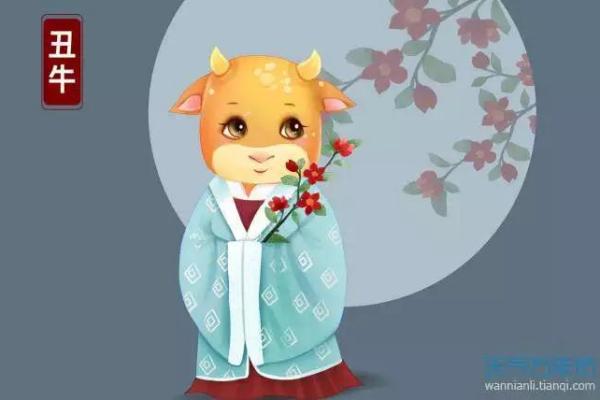 探索农历十二月出生的牛女命理与性格特点 探索农历十二月出生的牛女命理与性格特点