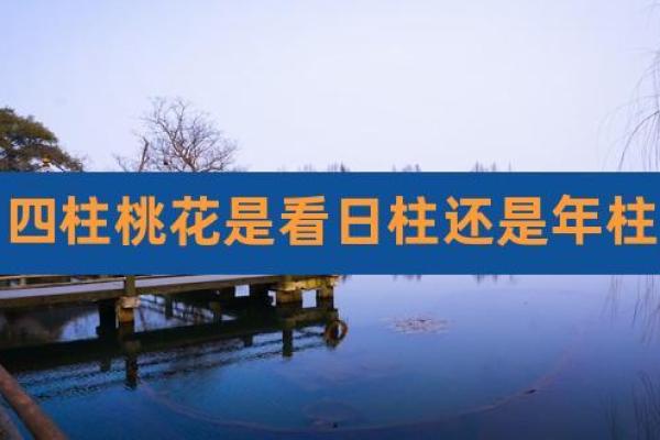 男命桃花在日柱的深刻意义与生活影响 男命桃花在日柱的深刻意义与生活影响