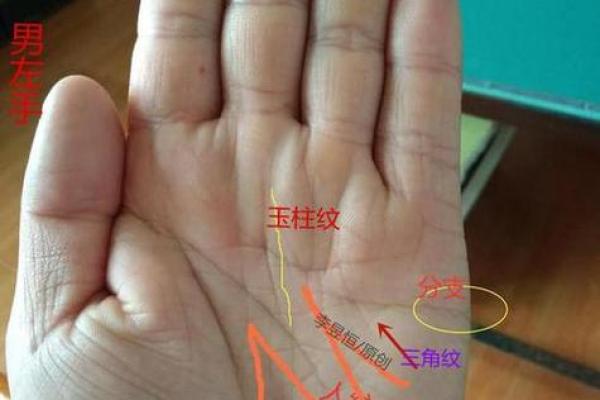 男人手指头没肉的命运揭秘,细节与性格解读! 男人手指头没肉的命运揭秘,细节与性格解读!