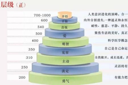 探索命宫与日月角，揭示你的命运秘密！