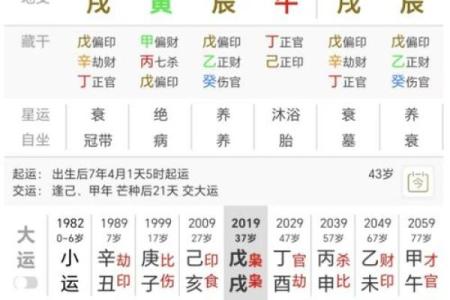 天干地支的奥秘：命格探秘与人生指引