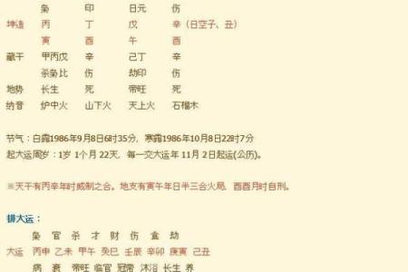 罗永浩的命格解析：八字背后的创业启示与人生哲学