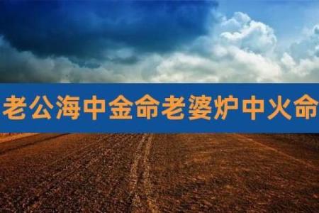 炉中火命的魅力与生活搭配：寻找到最佳的图像元素