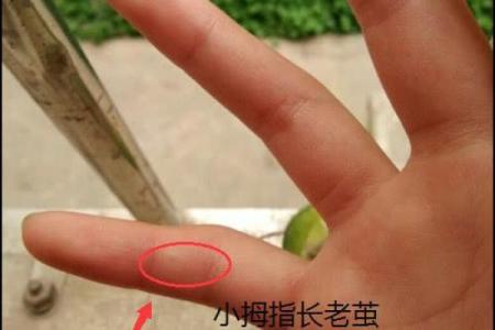 命里金太多，生活究竟会如何变化？