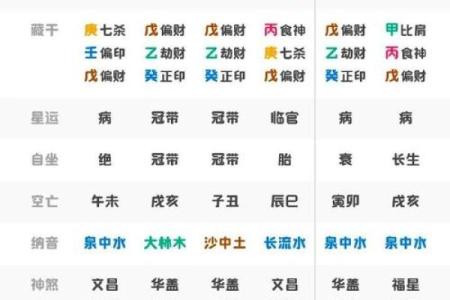 女命食伤旺与子女命理的深度解析