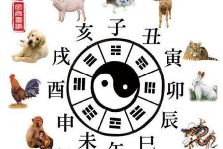 农历六月出生女孩的命理解析：她们的性格、运势与特质