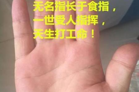凌晨两点的虎命格解析：探索独特的人生轨迹与性格特征