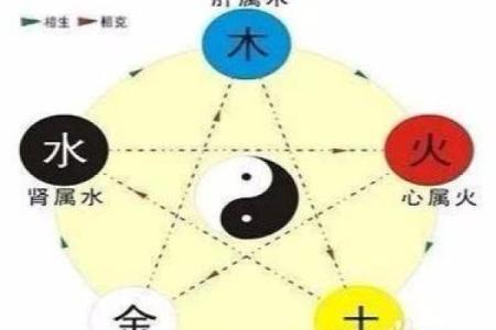 缺水的木命土多家庭如何提升运势与生活品质