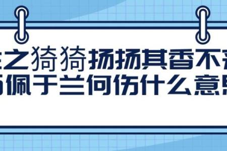 命理揭秘：伤阳伤尽的深刻内涵与影响探讨
