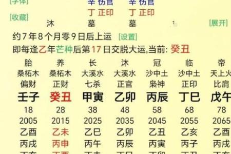 零六年出生者的命理解析：天赋与运势的完美结合