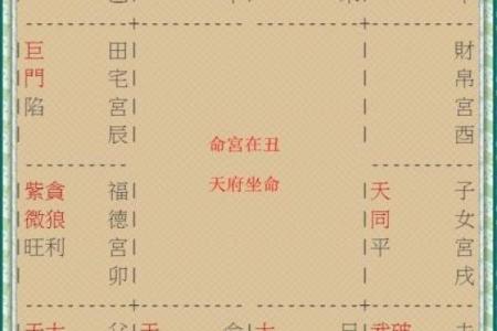 探秘九星照命：从命宫看每个星象的奥妙与影响