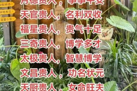 命理中的四个贵人代表与人生启示