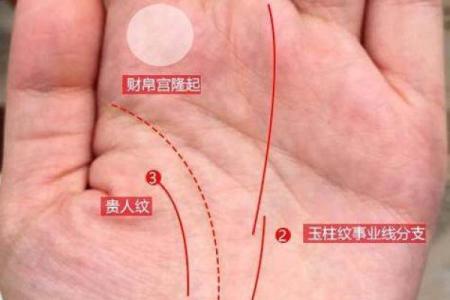 揭示男命离婚运势的关键因素，解读命理背后的真相！