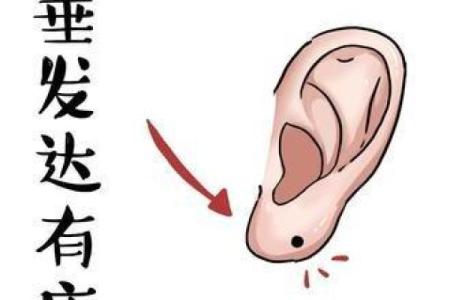 探寻六亲无缘命运背后的深层原因与心理解读