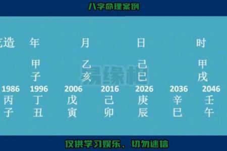 如何通过阅读书籍掌握八字命格的奥秘与技巧