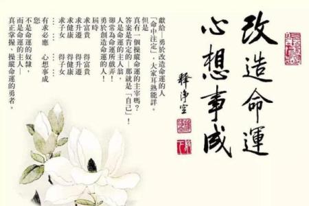 命里带水的含义与生活启示