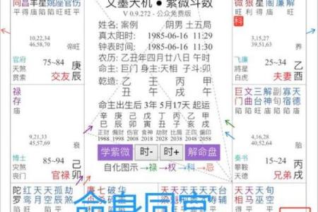命宫戌身宫寅的命运解析：如何运用命理提升人生潜能