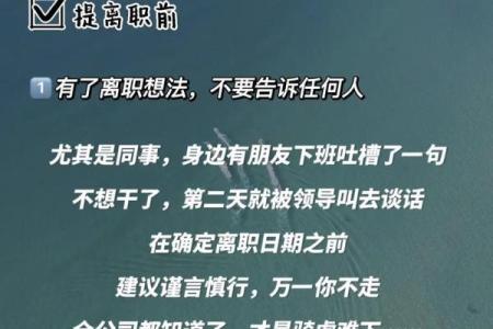路旁土命的职场选择与行业推荐：开启成功人生的新篇章