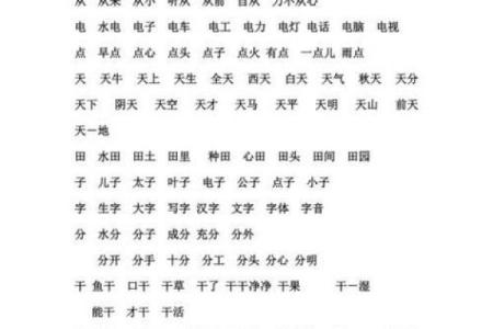 命的组词与拼音：揭示生命的奥秘与哲学