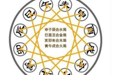 六九年男鸡五行属性与命理解析：如何让生活更加顺遂？