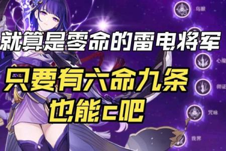 雷电将军满命解析：揭示命之背后的力量与智慧