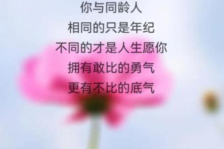 命里食禄好，解读生活富足之道