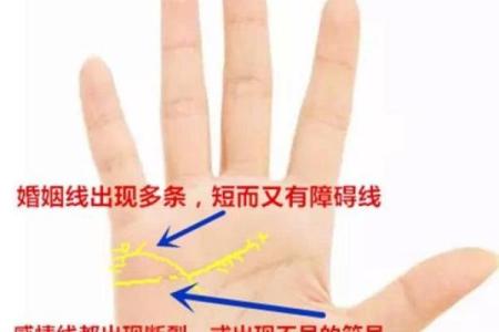 命格中土元素的力量：如何让你在人生的道路上多金多福？