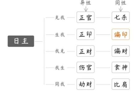 女性命局中偏财与正印的结合象征与解读