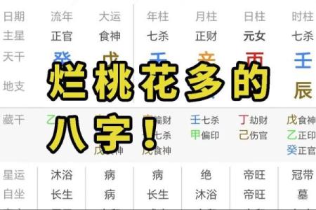 男命桃花在日柱的深刻意义与生活影响