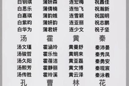 命带取命：探索命理中命运与人生的奥秘