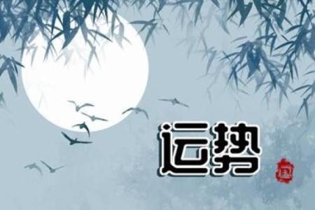女人西四命：如何了解与提升自身运势的实用指南