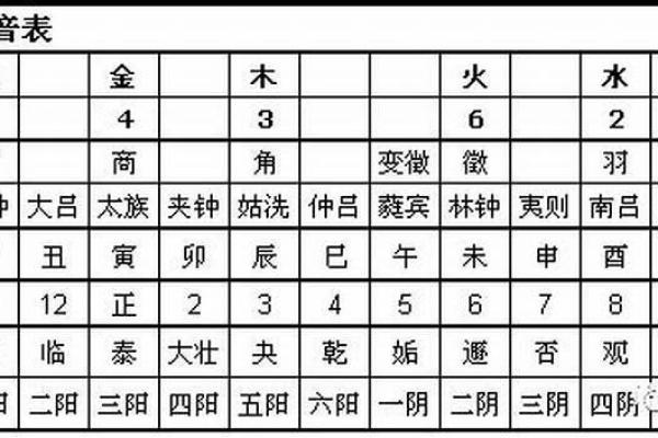 男人五行失调与命运的深度解析 男人五行失调与命运的深度解析