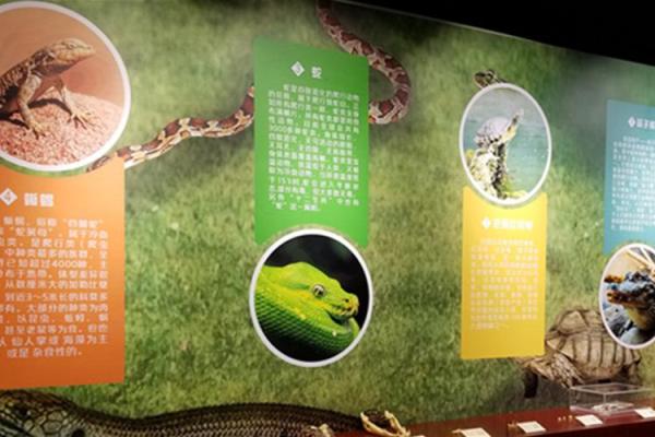命理中的“地解星”:揭示生命深层密码的神秘力量 命理中的“地解星”:揭示生命深层密码的神秘力量