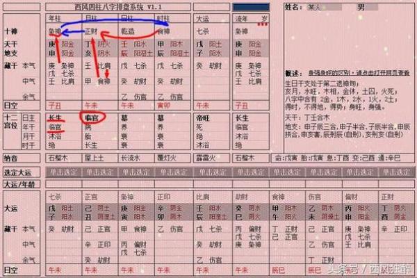 女命枭神解析:揭开命理中的神秘面纱 女命枭神解析:揭开命理中的神秘面纱