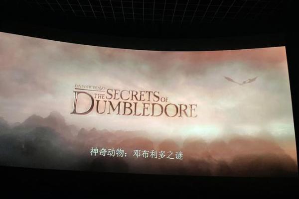 老鼠的命运之谜:揭示它们在自然界中的位置与角色 老鼠的命运之谜:揭示它们在自然界中的位置与角色