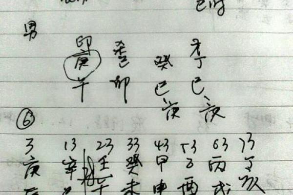 男命八字中三个文昌的深刻解析与智慧启示 男命八字中三个文昌的深刻解析与智慧启示