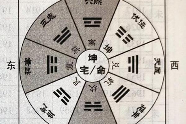 探索坤命东四命的深奥含义与人生启示 探索坤命东四命的深奥含义与人生启示