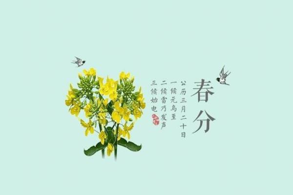 龙出生在五点至六点的命运解析,让你的人生更加清晰! 龙出生在五点至六点的命运解析,让你的人生更加清晰!