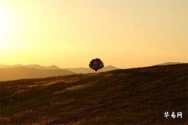 丙火命理揭示:点燃你内心的热情与智慧之光 丙火命理揭示:点燃你内心的热情与智慧之光