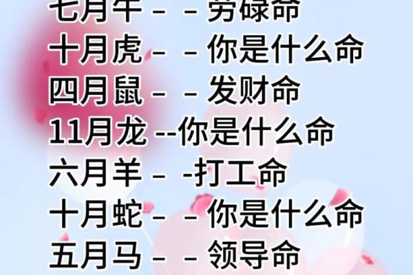 免费最准命格测算,揭秘你的命运真相! 免费最准命格测算,揭秘你的命运真相!