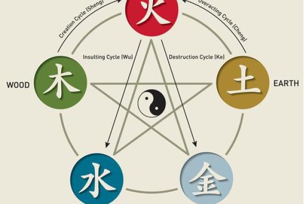 木命人与五行搭配:寻找最佳伴侣与事业伙伴之道 木命人与五行搭配:寻找最佳伴侣与事业伙伴之道